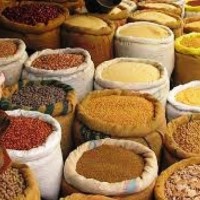 यो वर्ष खाद्यान्न संकट आउन सक्ने विज्ञहरुको चिन्ता ।